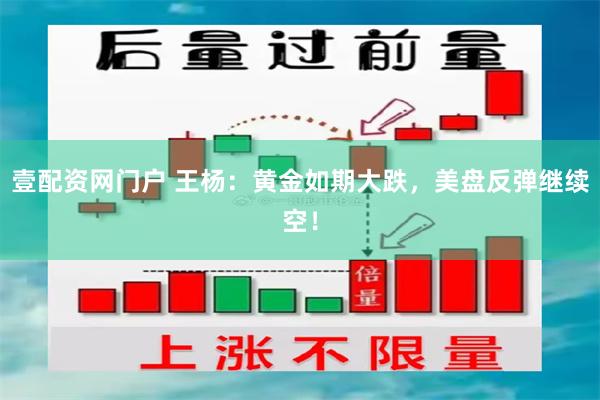 壹配资网门户 王杨：黄金如期大跌，美盘反弹继续空！