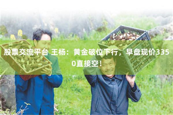 股票交流平台 王杨：黄金破位下行，早盘现价3350直接空！