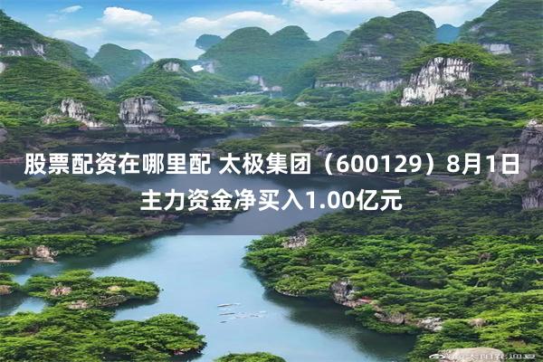 股票配资在哪里配 太极集团(600129)8月1日主力资金净买入1.00亿元