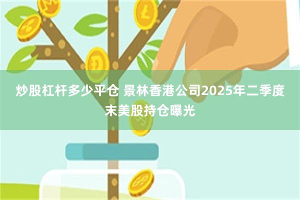 炒股杠杆多少平仓 景林香港公司2025年二季度末美股持仓曝光