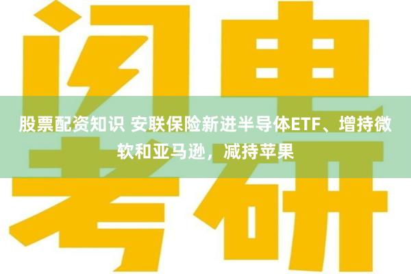 股票配资知识 安联保险新进半导体ETF、增持微软和亚马逊，减持苹果