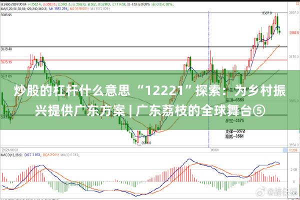 炒股的杠杆什么意思 “12221”探索：为乡村振兴提供广东方案 | 广东荔枝的全球舞台⑤