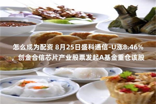 怎么成为配资 8月25日盛科通信-U涨8.46%，创金合信芯片产业股票发起A基金重仓该股