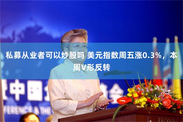 私募从业者可以炒股吗 美元指数周五涨0.3%，本周V形反转