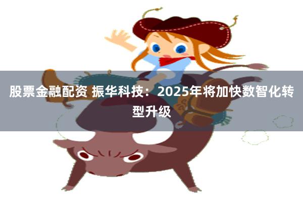 股票金融配资 振华科技：2025年将加快数智化转型升级