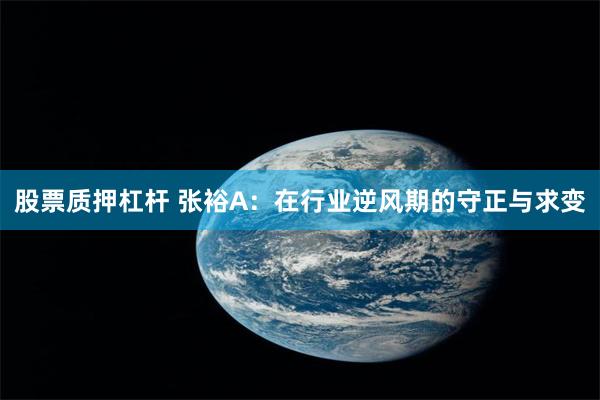 股票质押杠杆 张裕A：在行业逆风期的守正与求变