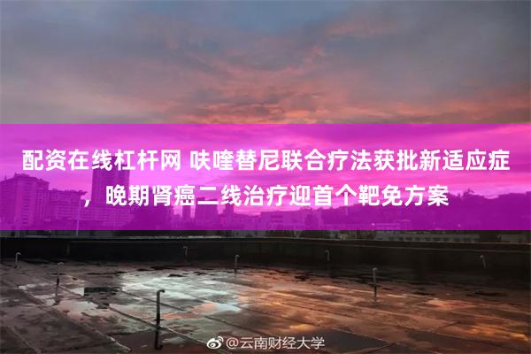 配资在线杠杆网 呋喹替尼联合疗法获批新适应症，晚期肾癌二线治疗迎首个靶免方案