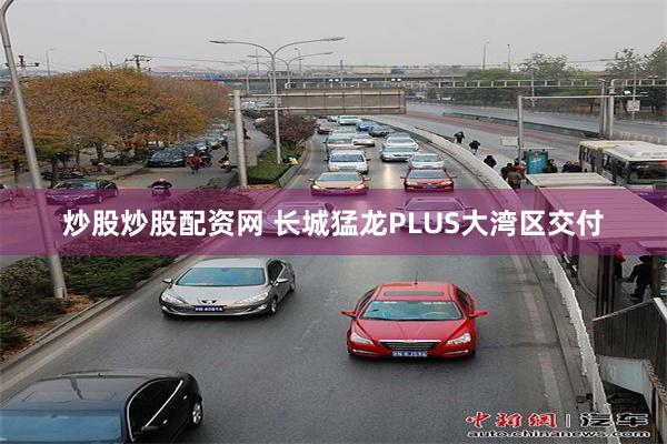 炒股炒股配资网 长城猛龙PLUS大湾区交付