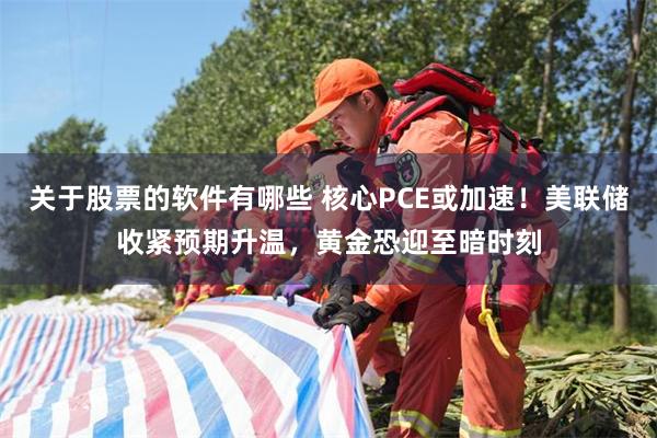 关于股票的软件有哪些 核心PCE或加速！美联储收紧预期升温，黄金恐迎至暗时刻
