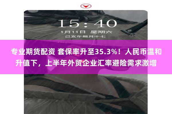 专业期货配资 套保率升至35.3%！人民币温和升值下，上半年外贸企业汇率避险需求激增