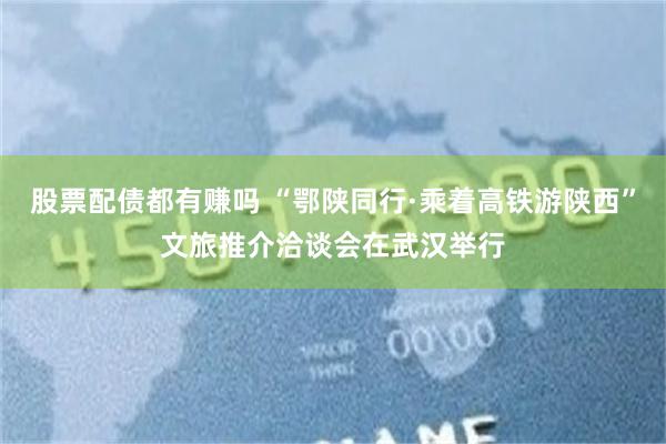 股票配债都有赚吗 “鄂陕同行·乘着高铁游陕西”文旅推介洽谈会在武汉举行