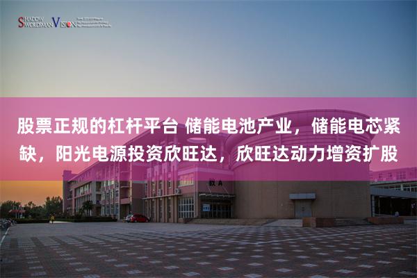 股票正规的杠杆平台 储能电池产业，储能电芯紧缺，阳光电源投资欣旺达，欣旺达动力增资扩股