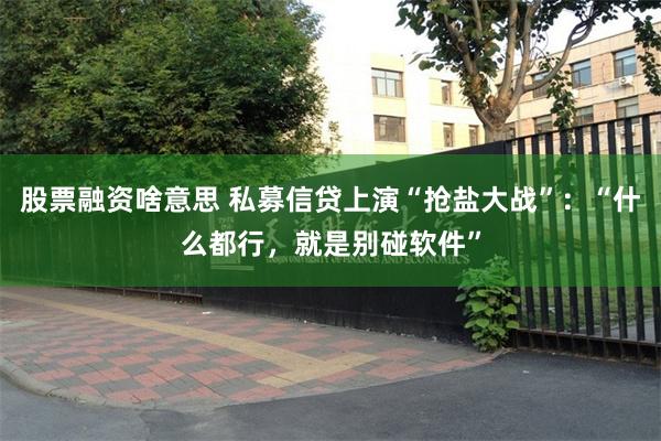 股票融资啥意思 私募信贷上演“抢盐大战”：“什么都行，就是别碰软件”