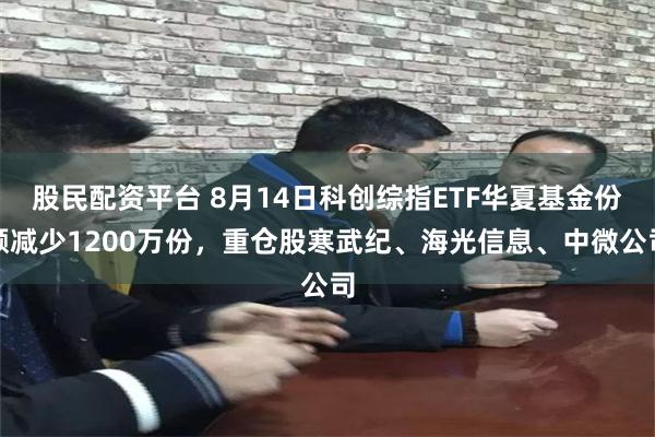 股民配资平台 8月14日科创综指ETF华夏基金份额减少1200万份，重仓股寒武纪、海光信息、中微公司