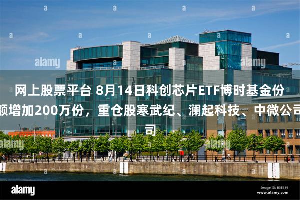 网上股票平台 8月14日科创芯片ETF博时基金份额增加200万份,重仓股寒武纪、澜起科技、中微公司