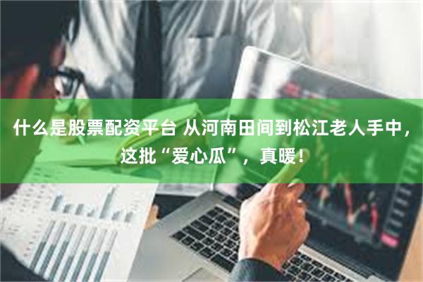 什么是股票配资平台 从河南田间到松江老人手中，这批“爱心瓜”，真暖！
