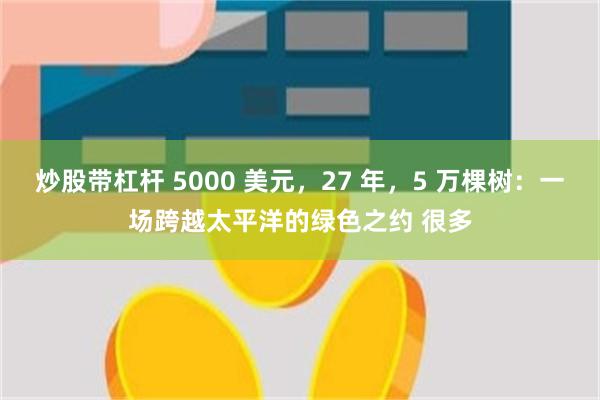 炒股带杠杆 5000 美元,27 年,5 万棵树:一场跨越太平洋的绿色之约 很多