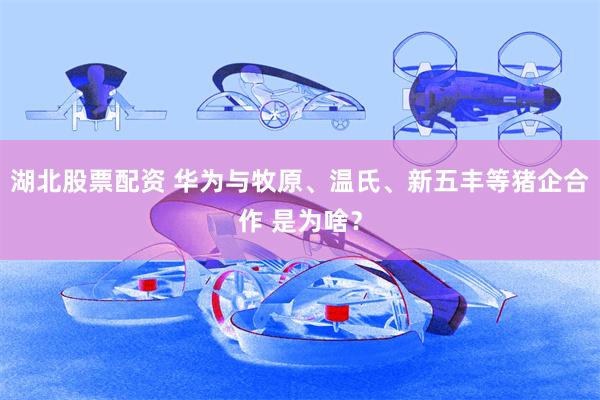 湖北股票配资 华为与牧原、温氏、新五丰等猪企合作 是为啥？