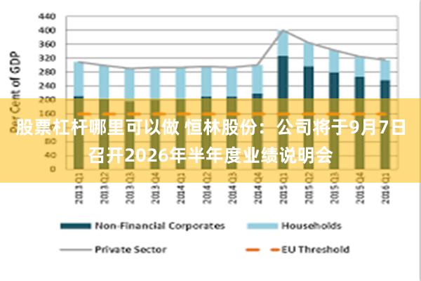 股票杠杆哪里可以做 恒林股份：公司将于9月7日召开2026年半年度业绩说明会