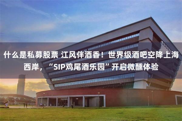 什么是私募股票 江风伴酒香!世界级酒吧空降上海西岸,“SIP鸡尾酒乐园”开启微醺体验