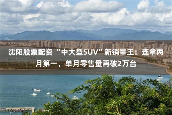 沈阳股票配资 “中大型SUV”新销量王：连拿两月第一，单月零售量再破2万台