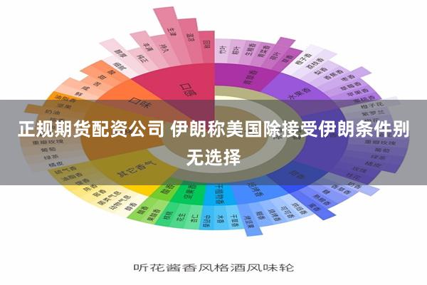 正规期货配资公司 伊朗称美国除接受伊朗条件别无选择