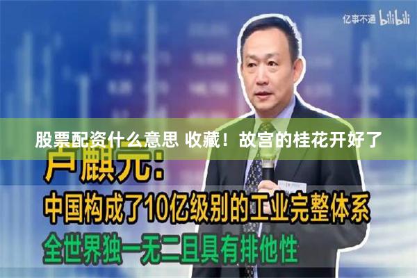股票配资什么意思 收藏！故宫的桂花开好了