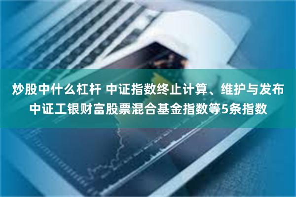 炒股中什么杠杆 中证指数终止计算、维护与发布中证工银财富股票混合基金指数等5条指数