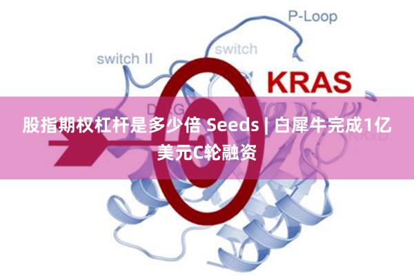 股指期权杠杆是多少倍 Seeds | 白犀牛完成1亿美元C轮融资